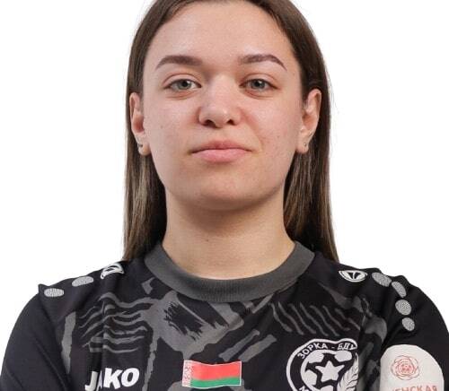 ДЮШС изображение 29